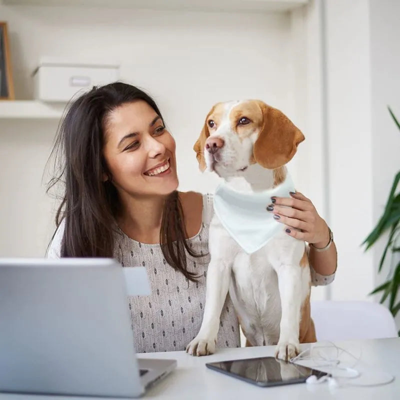 White blank polyester dog scarf showing four size options for thermal transfer personalisation