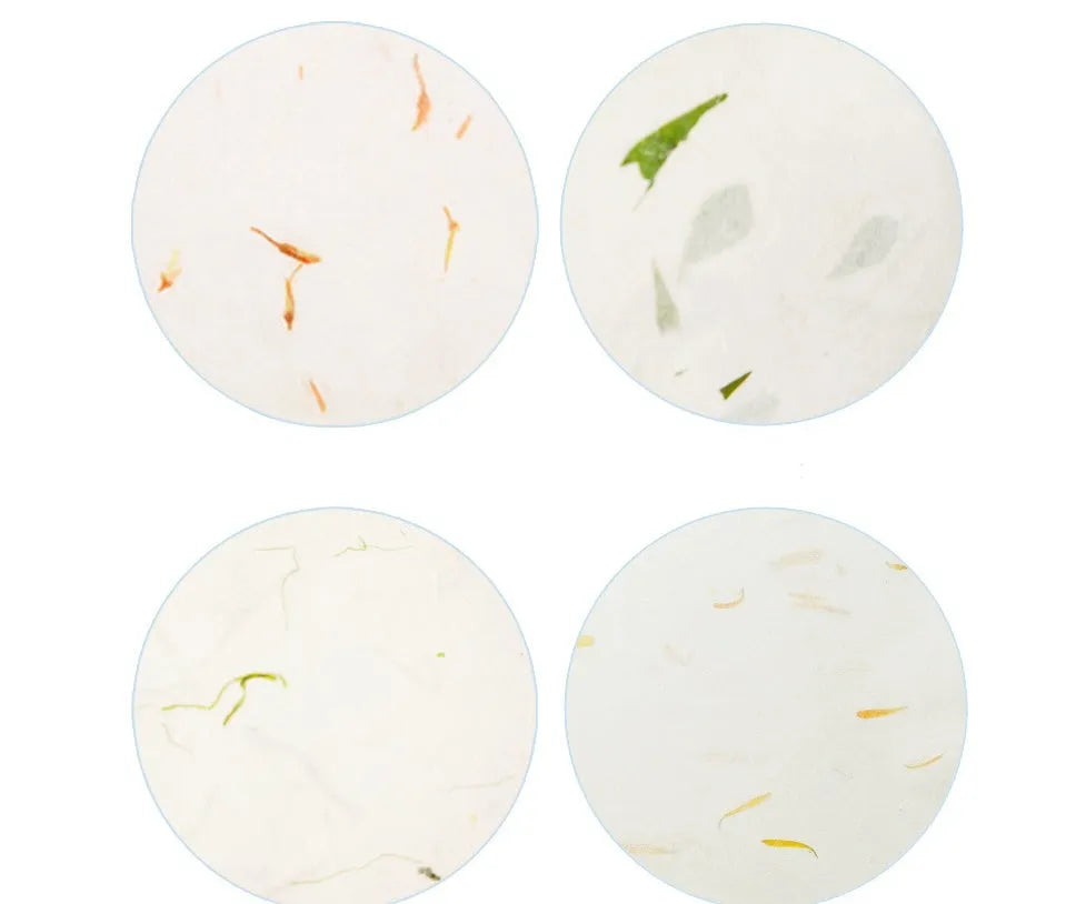 Chinese ancient style painting paper stationery set with 10 sheets in green leaf design
