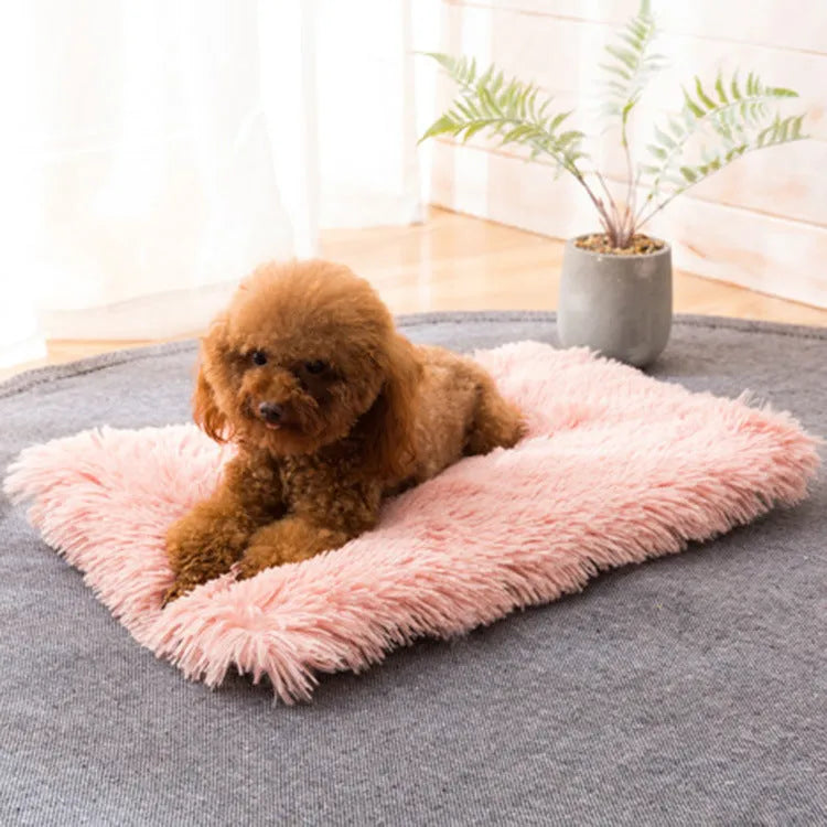Pet nest in plush material with anti-slip water-resistant bottom, shown in four sizes and five colours