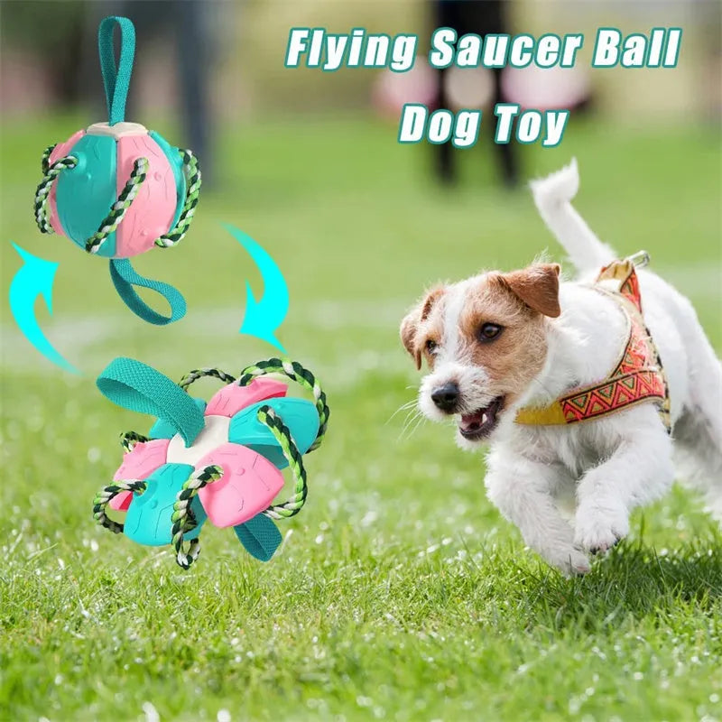 Interactive dog football soccer ball with tabs in blue and yellow, flattened into a frisbee shape with cotton rope around edge