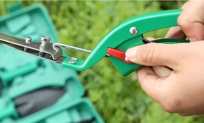 Ten-piece gardening tool set with iron heads and plastic handles in green and purple colour options