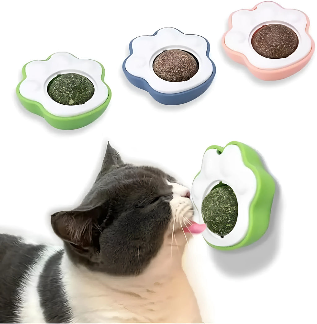 Blue green pink catnip balls with edible vine dental chew surface for kitten teeth cleaning toys
