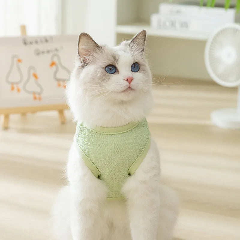 Green knitted cat clothes with a hollowed-out bear patch cartoon design.