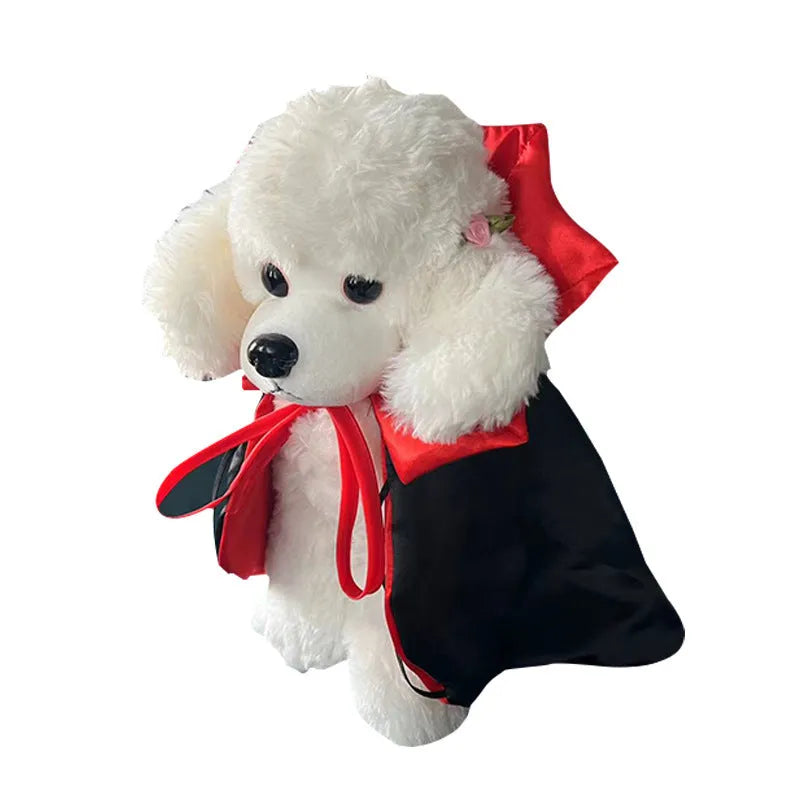 Halloween pet costume featuring bat devil cloak and matching hat on dog