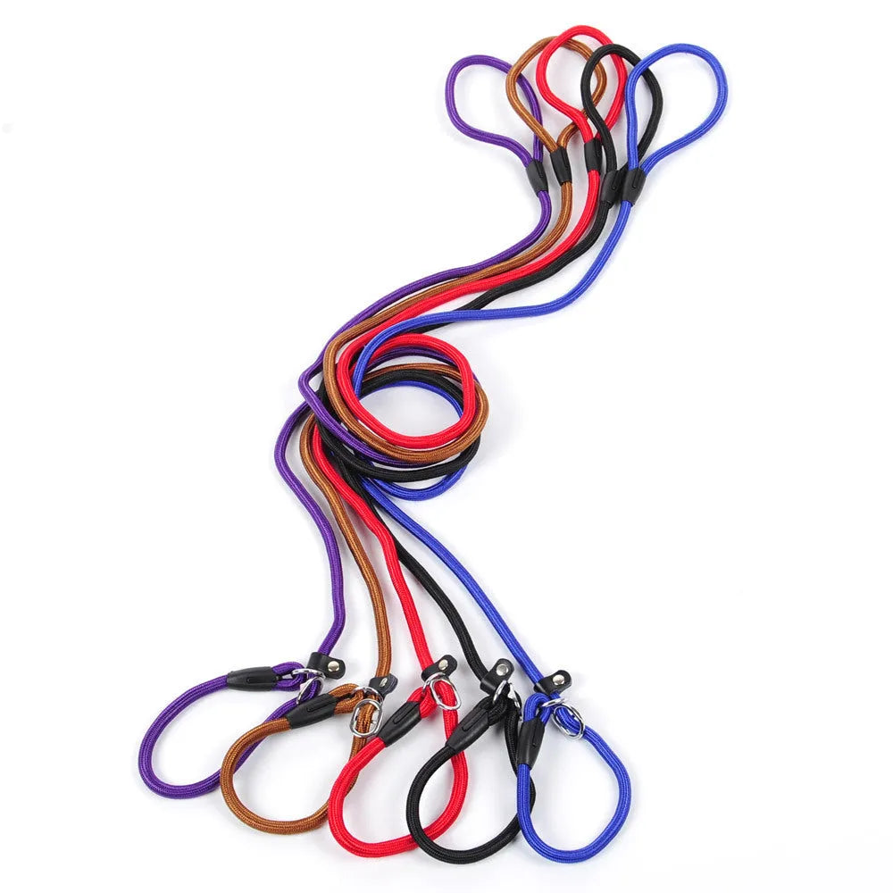 Nylon dog leash 150cm in length with clip end, available in multiple colours