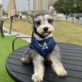 Blue and white slim-fitting pet hoodie with reflective letters for cats or dogs