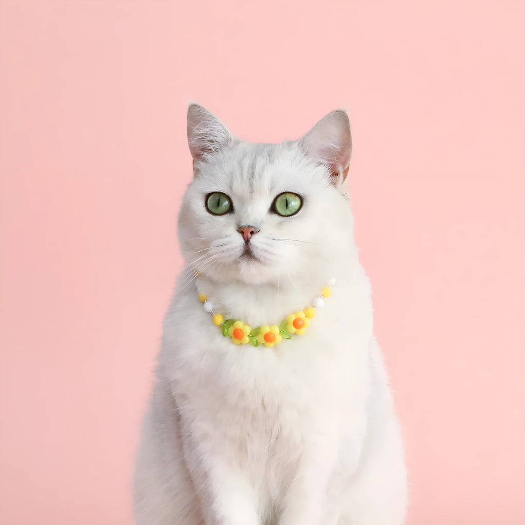Colourful plastic pearl bead cat collar necklace showing rainbow, peach and small flower design options
