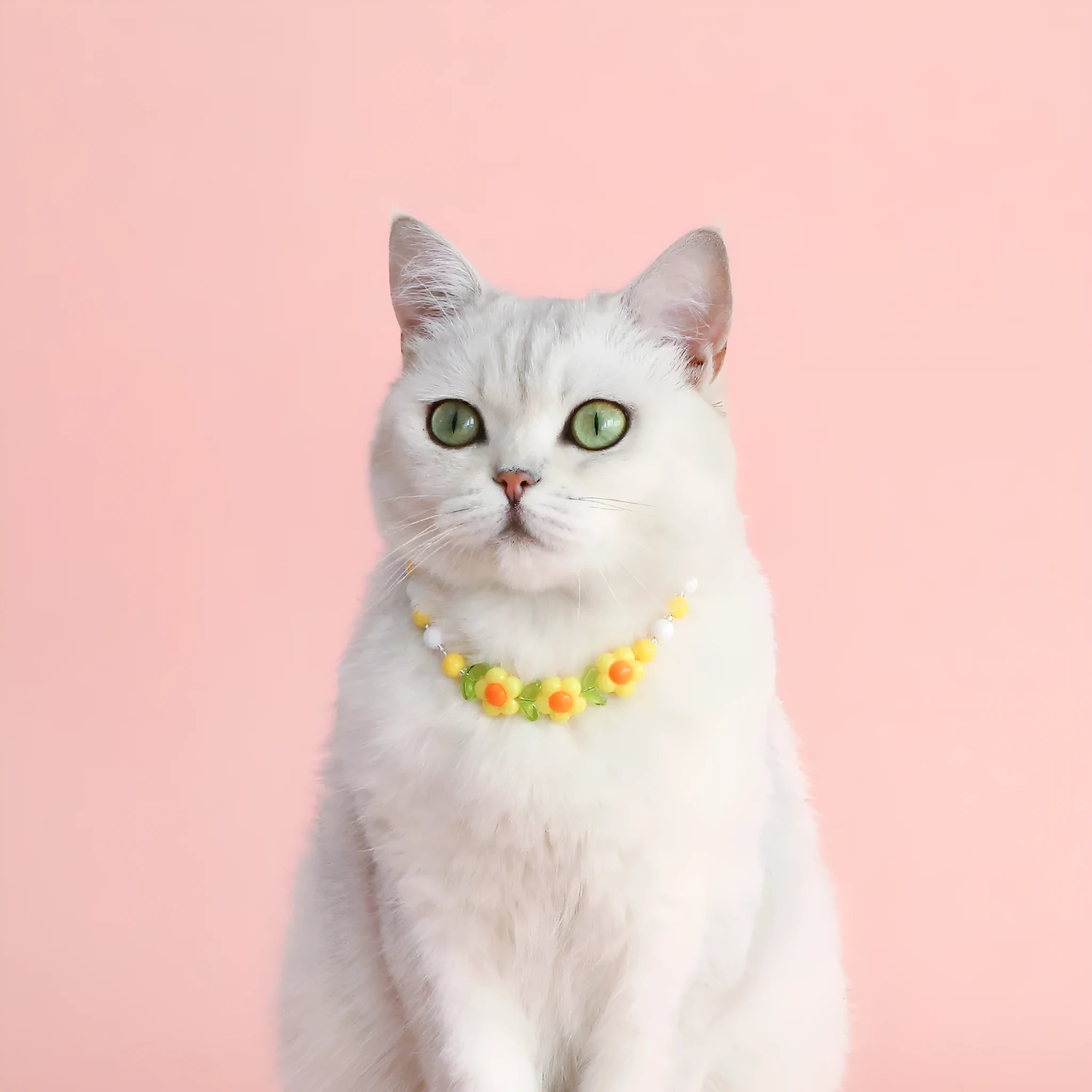 Colourful plastic pearl bead cat collar necklace showing rainbow, peach and small flower design options