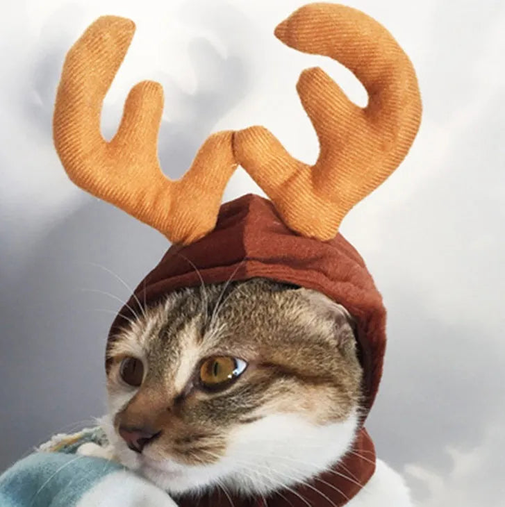 Small pet Christmas tiara set with brown hat and red headband on light background