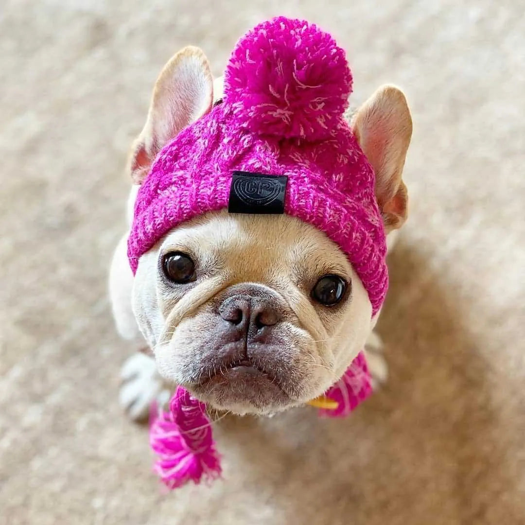 Grey acrylic knitted dog hat with fluffy ball on top, side view showing woven texture and slip-on design