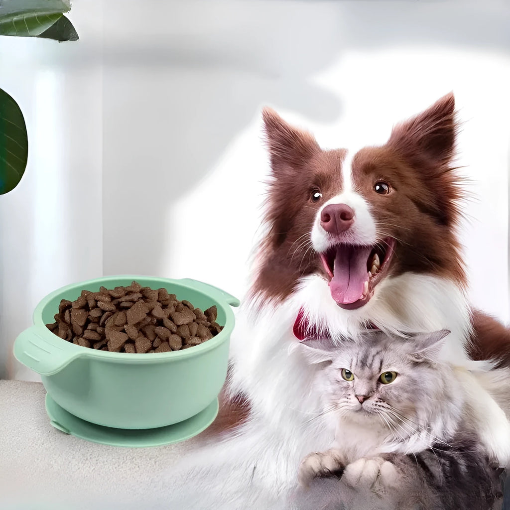 Silicone pet bowl with suction cup base in a choice of five colours: beige, blue, grey, green, and pink.