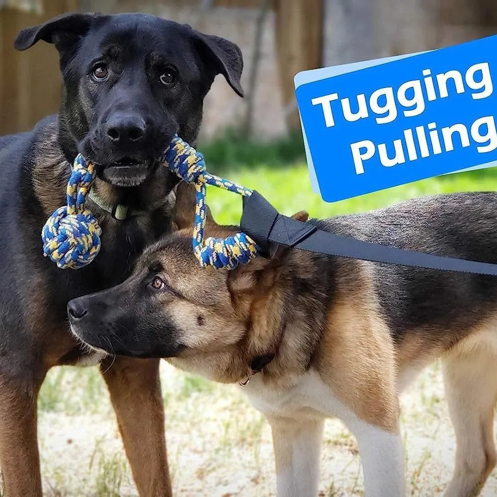 Green cotton thread dog tug rope toy with a ball style end for interactive bite and pull games.
