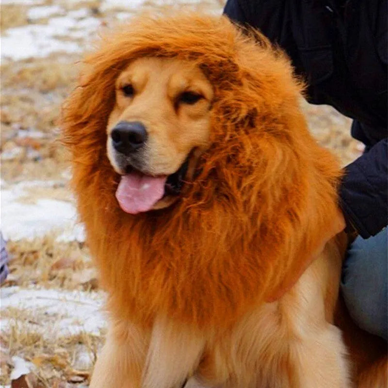 Lion mane wig for large dogs with head circumference below 74cm, 38x38cm headgear, black colour with ears