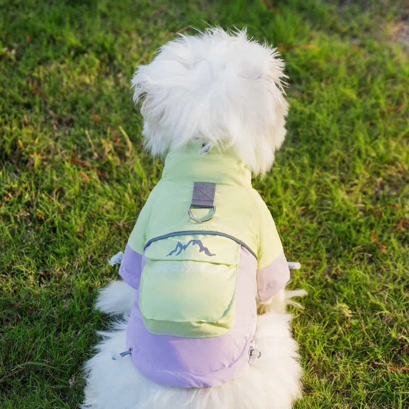 Xidao Di two-legged dog windbreaker coat in sunny yellow-blue colour on a small dog, with adjustable drawstring and D-ring.