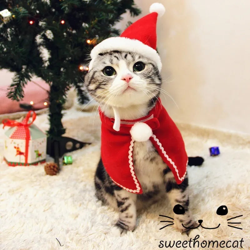 Small pet Christmas tiara set with brown hat and red headband on light background