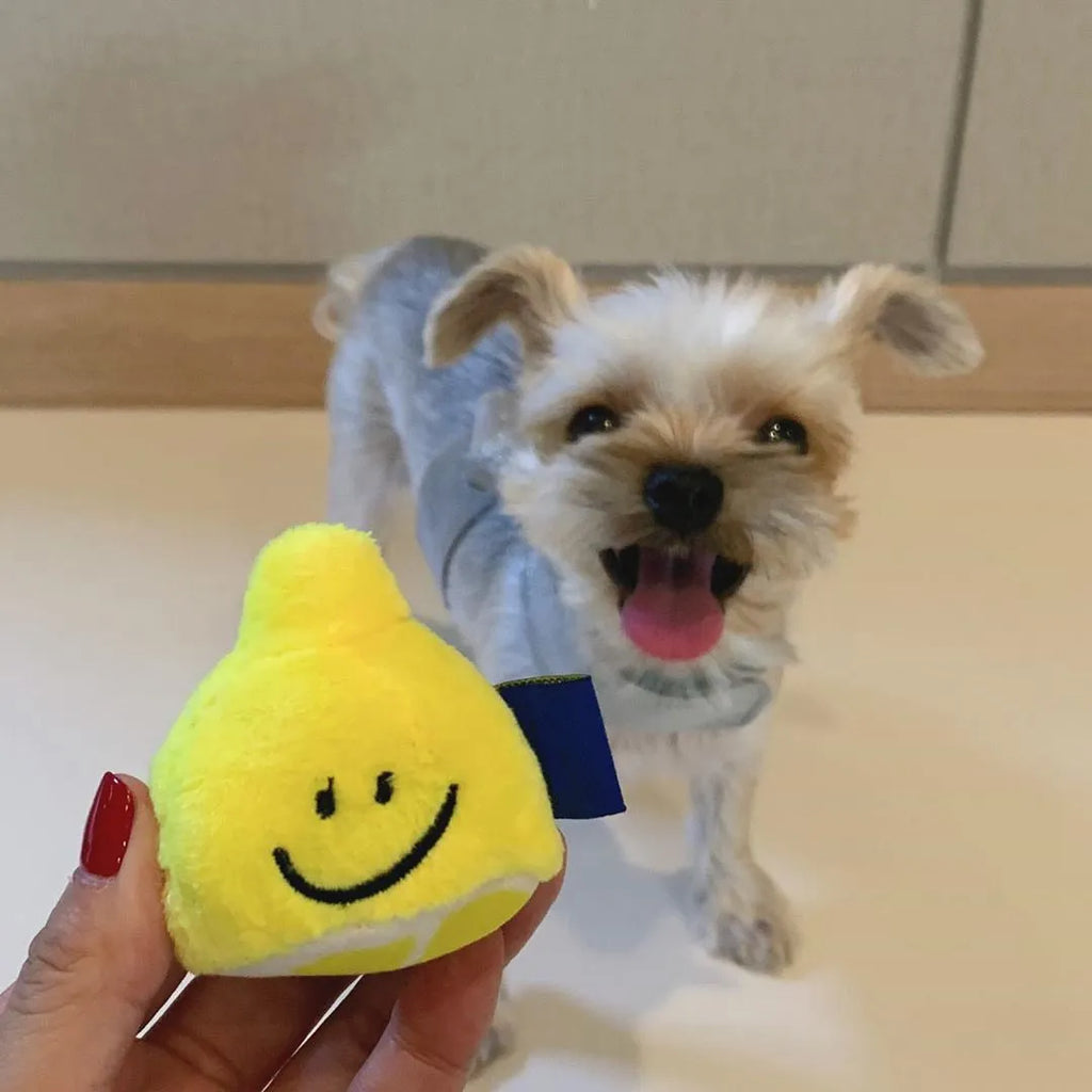 Yellow plush lemon tea cup pet toy with BB call and side snack pocket