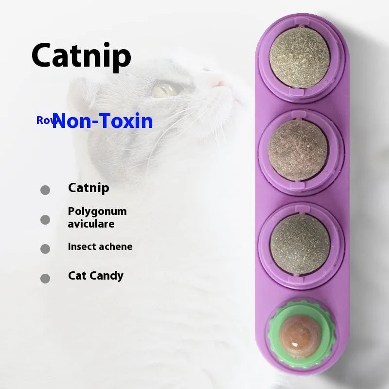 Cat toy snack molar with catnip in blue bag plastic pet tableware for indoor cats