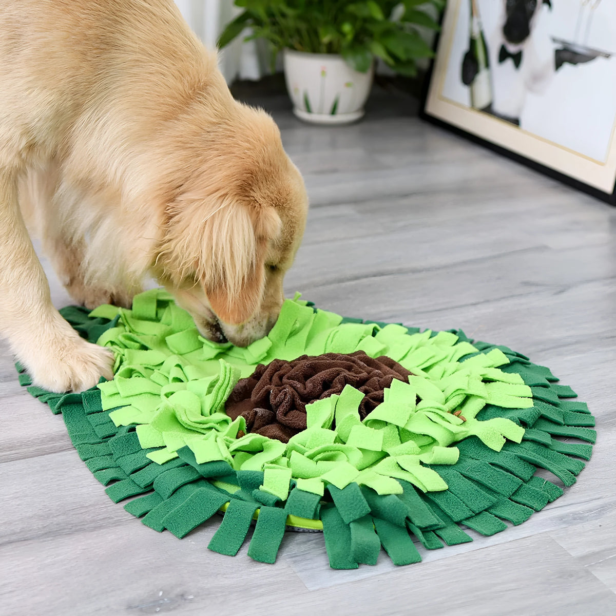 Green avocado-shaped dog sniffing mat with polar fleece strips on non-slip base, 69x53cm size for dogs and rabbits