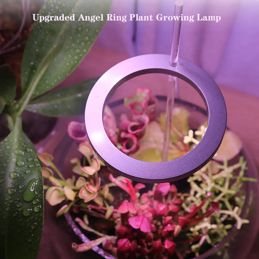LED grow light angel ring design with USB cable for indoor plants