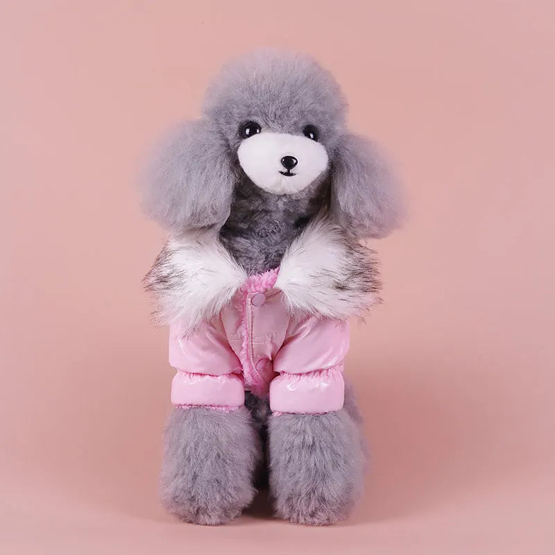 British style blue cotton winter jacket for medium-sized dog with collar and front closure