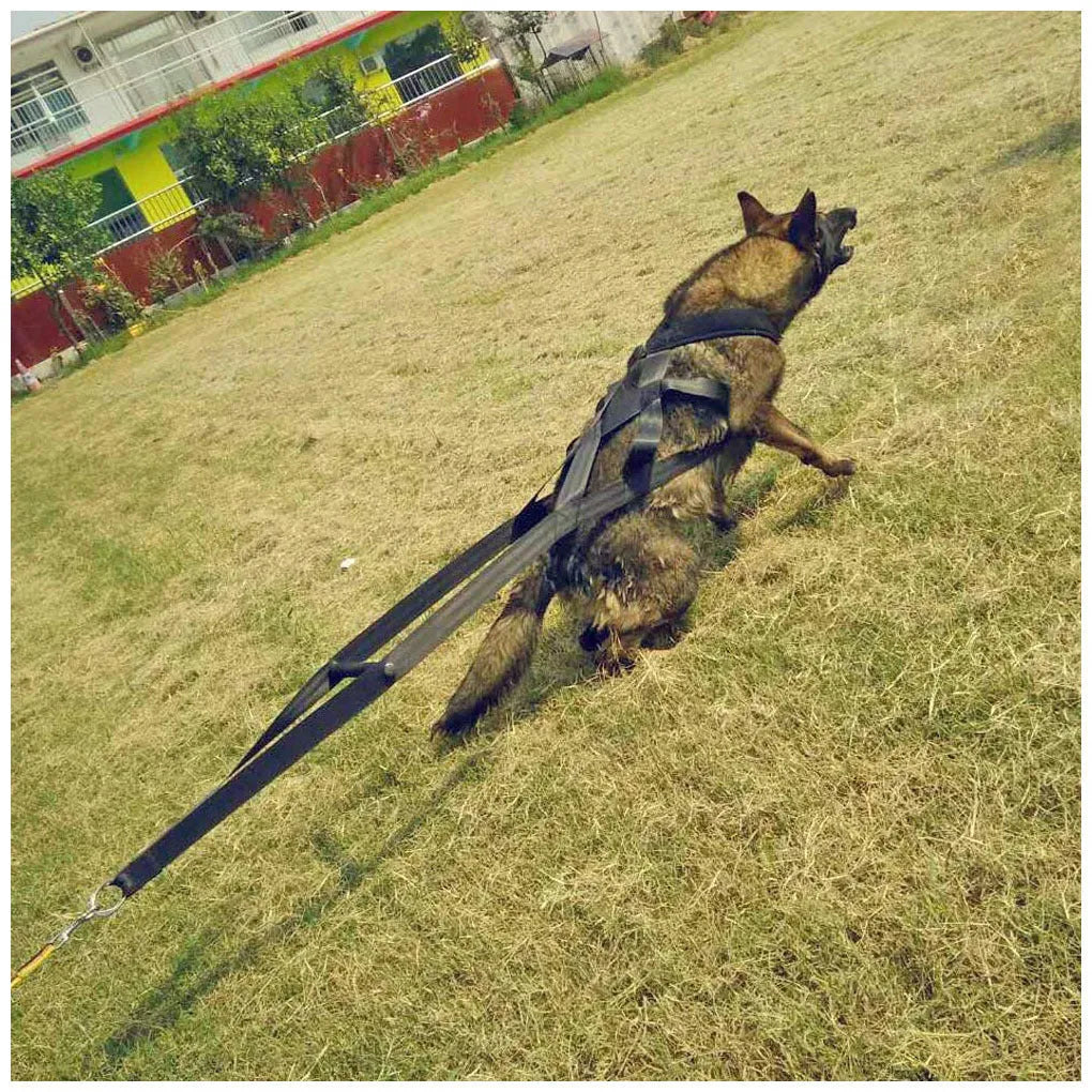 Black cotton dog training lead, 110cm total length, traction belt style for training and walks