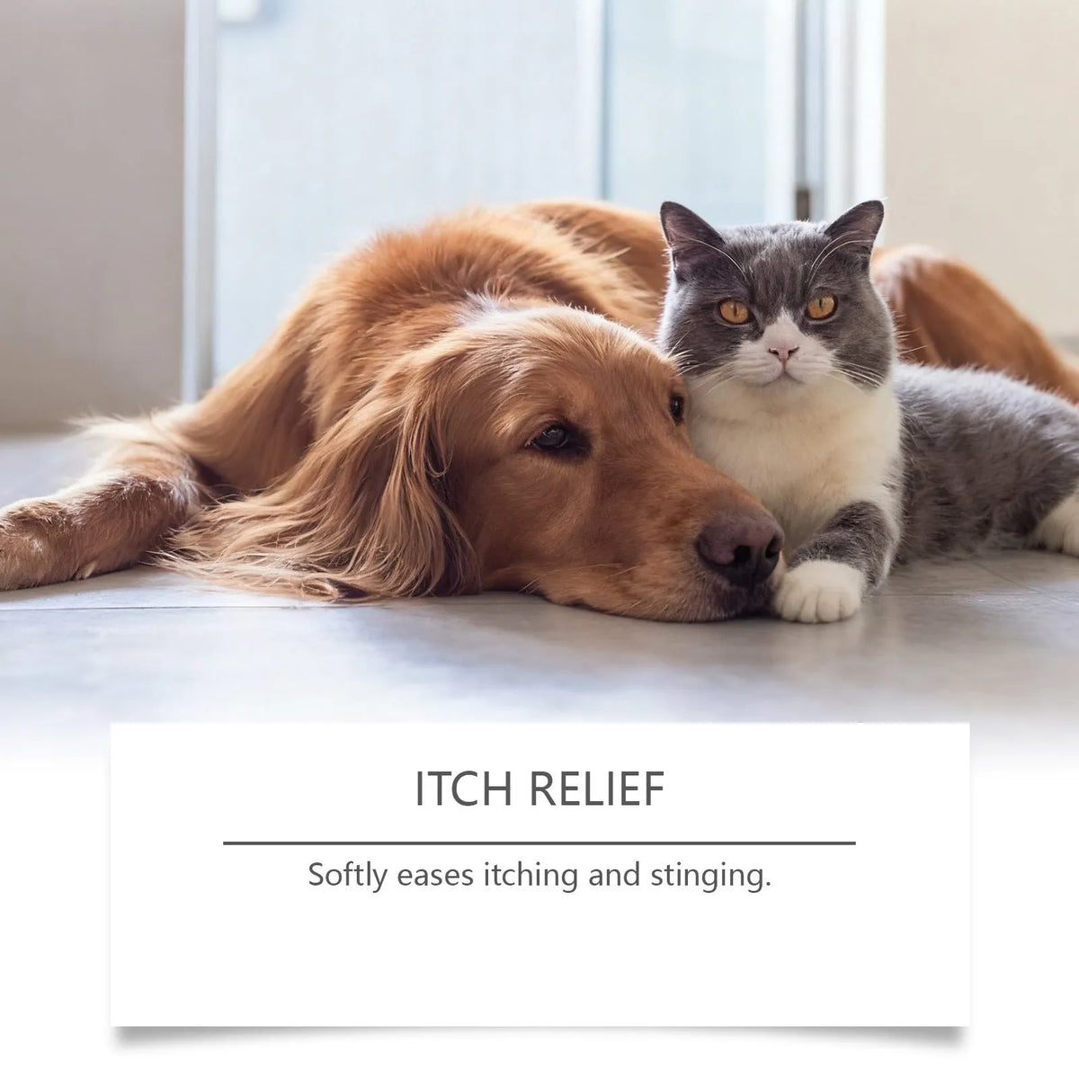 20g pet hydro gel tube for soothing skin and paw care on dogs and cats