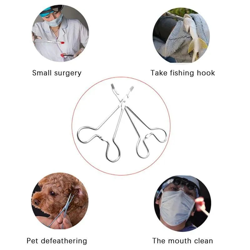 Silver stainless steel pet grooming tweezers with curved tip for ear cleaning and hair removal