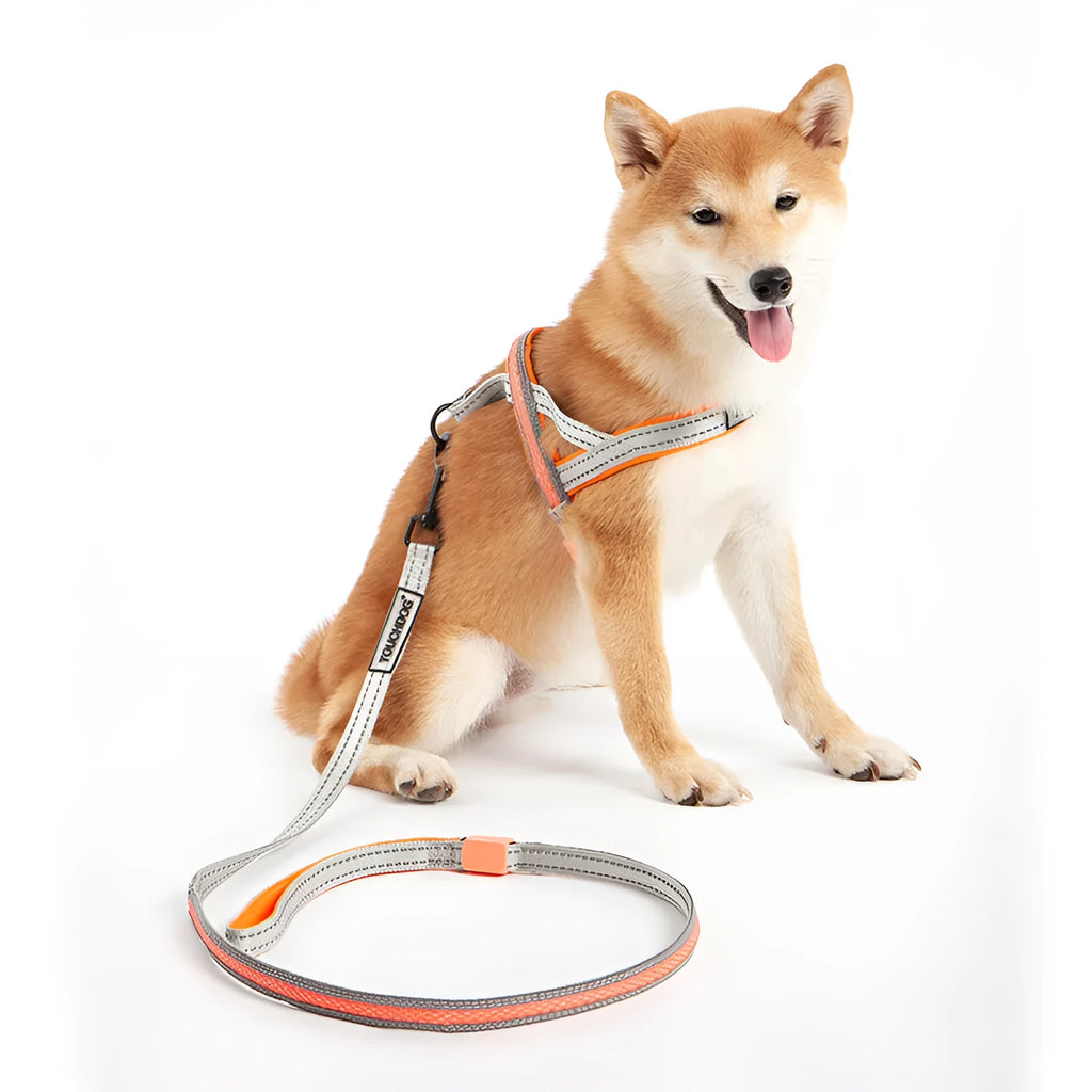 LED dog leash with nylon pendant and reflective strip for medium-sized dogs, colour as shown, available in sizes S M L