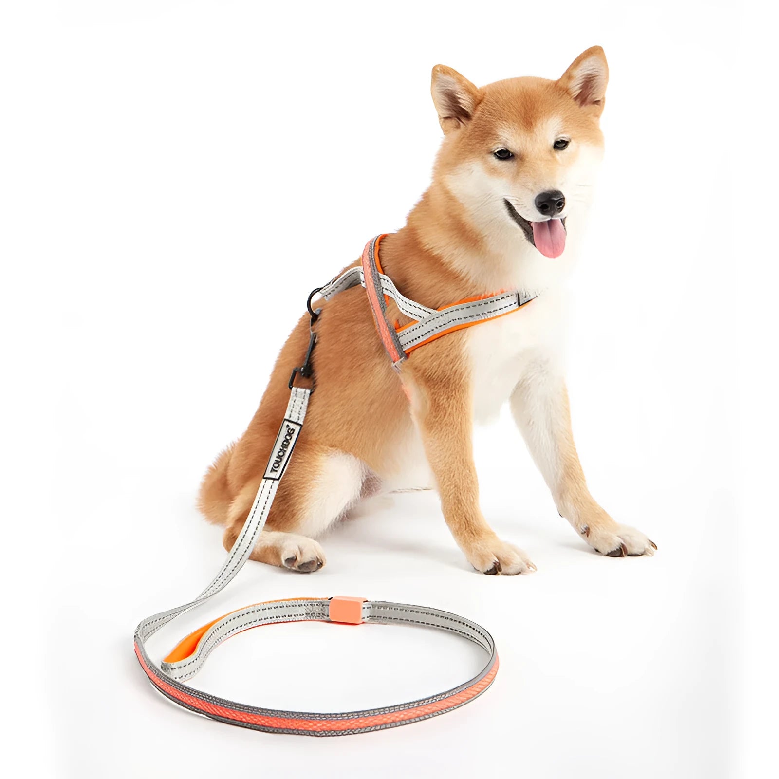 LED dog leash with nylon pendant and reflective strip for medium-sized dogs, colour as shown, available in sizes S M L