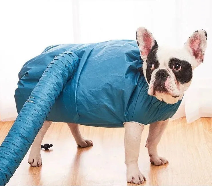 Blue automatic dog drying bag made from high-density Oxford cloth with silver-plated film, available in sizes S to XXL for dogs 2.5-50 kg