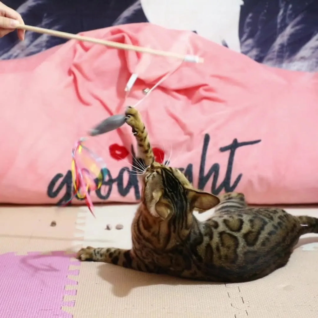 Blue handled cat teaser wand with colourful ribbons, a bell, and a catnip fish dangling from an elastic rope