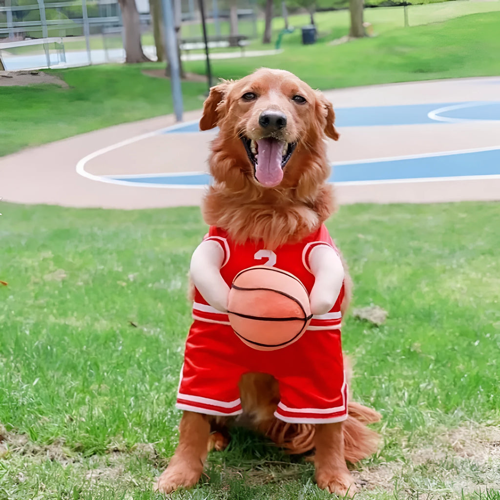 Red dog wearing a basketball costume with a small attached basketball