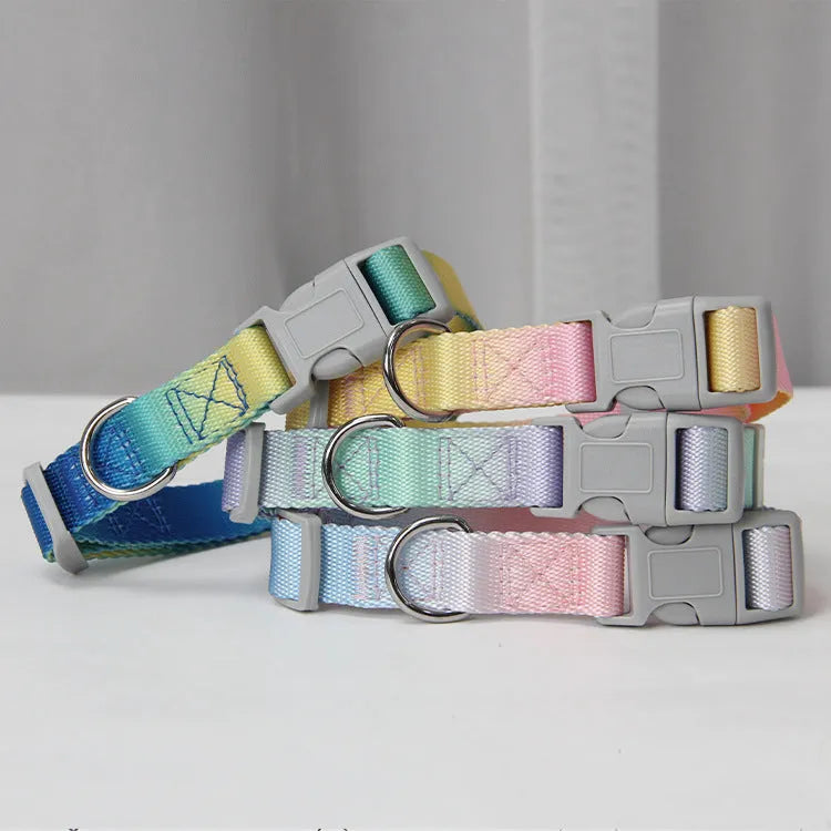 Multicolour gradient dog leash set with nylon collar, harness, and lead in pink blue yellow purple green combinations