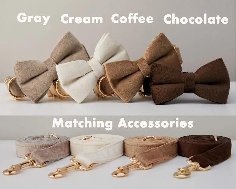 Velvet dog collar with bow tie, cotton lining and metal buckle, shown in a choice of colours and sizes XXS to XL