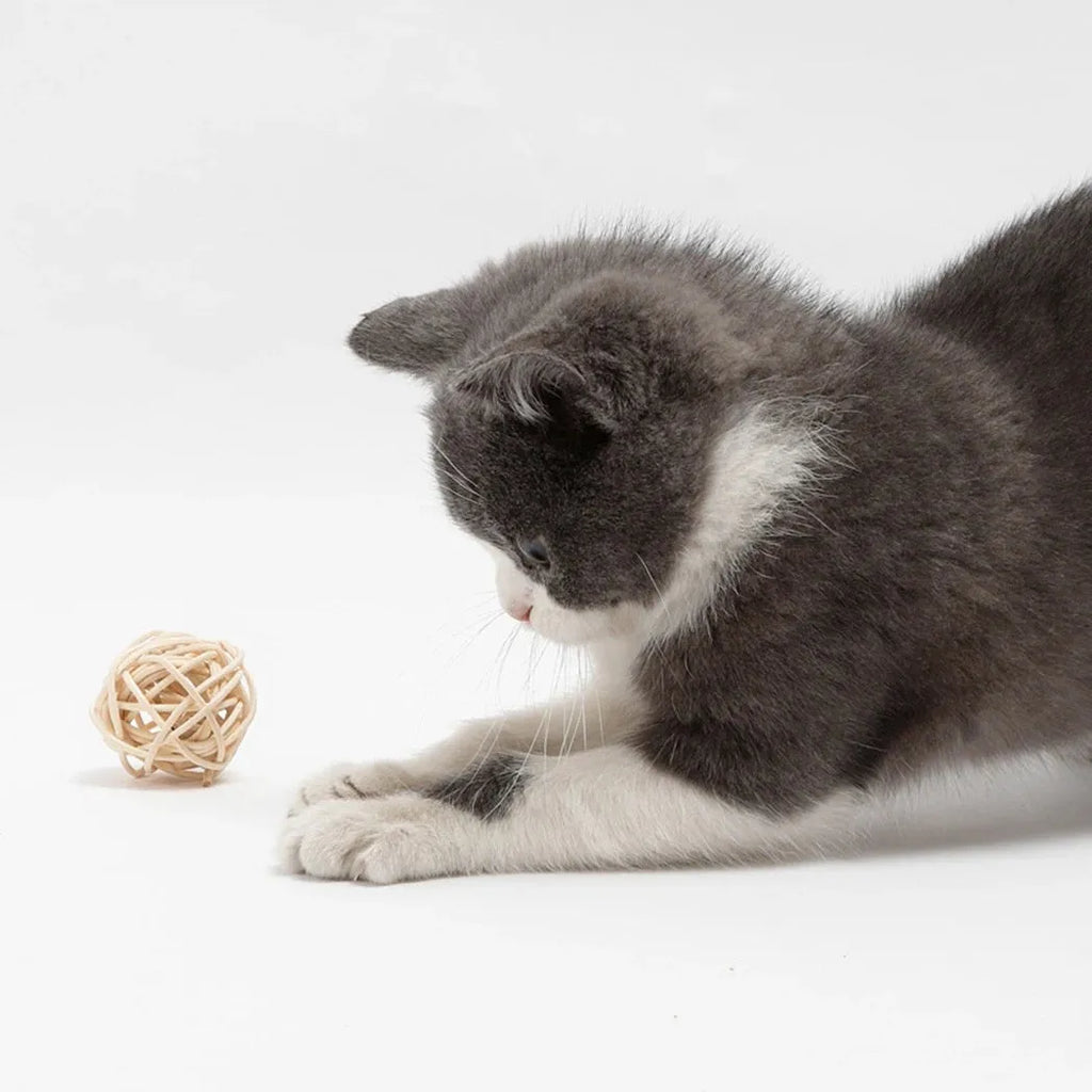 Two cat toys: hollow rattan ball and faux feather ball with bell for interactive pet play