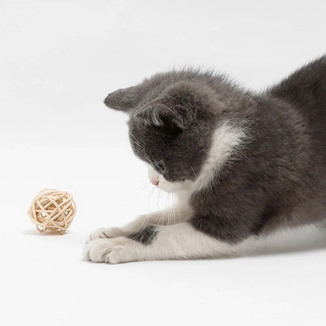 Two cat toys: hollow rattan ball and faux feather ball with bell for interactive pet play