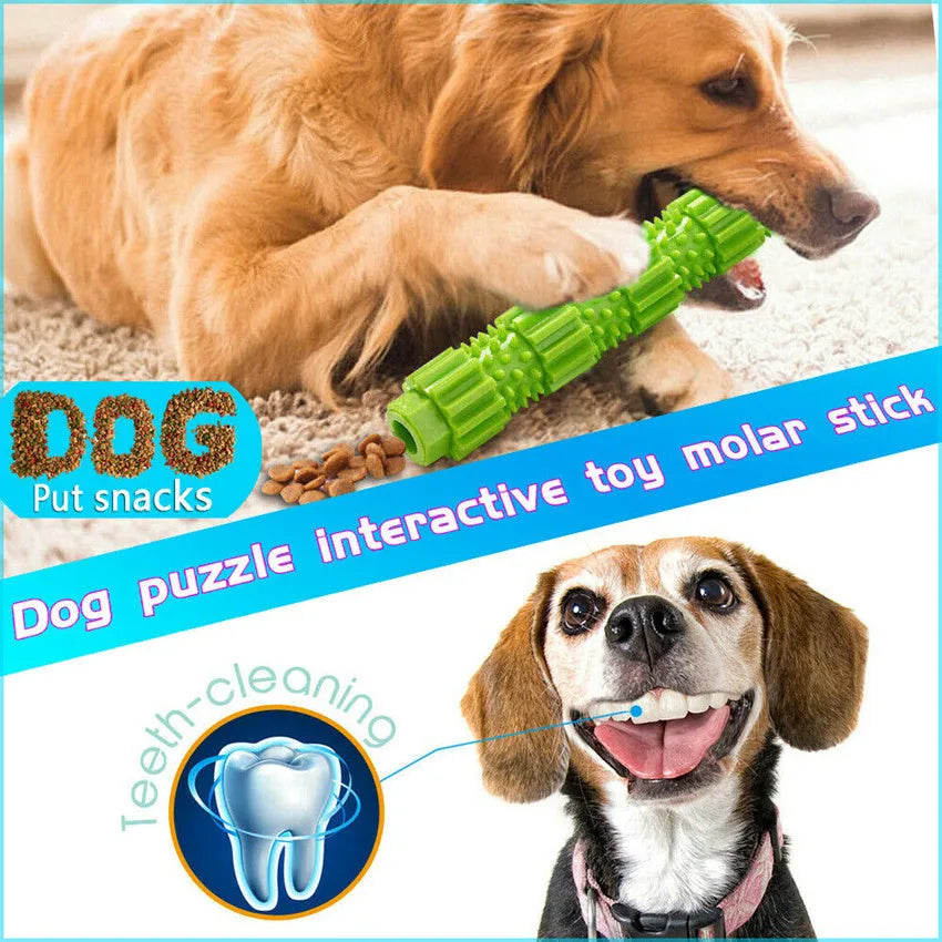 Green and orange durable rubber dog chew toy with treat hole and squeaker for aggressive chewers