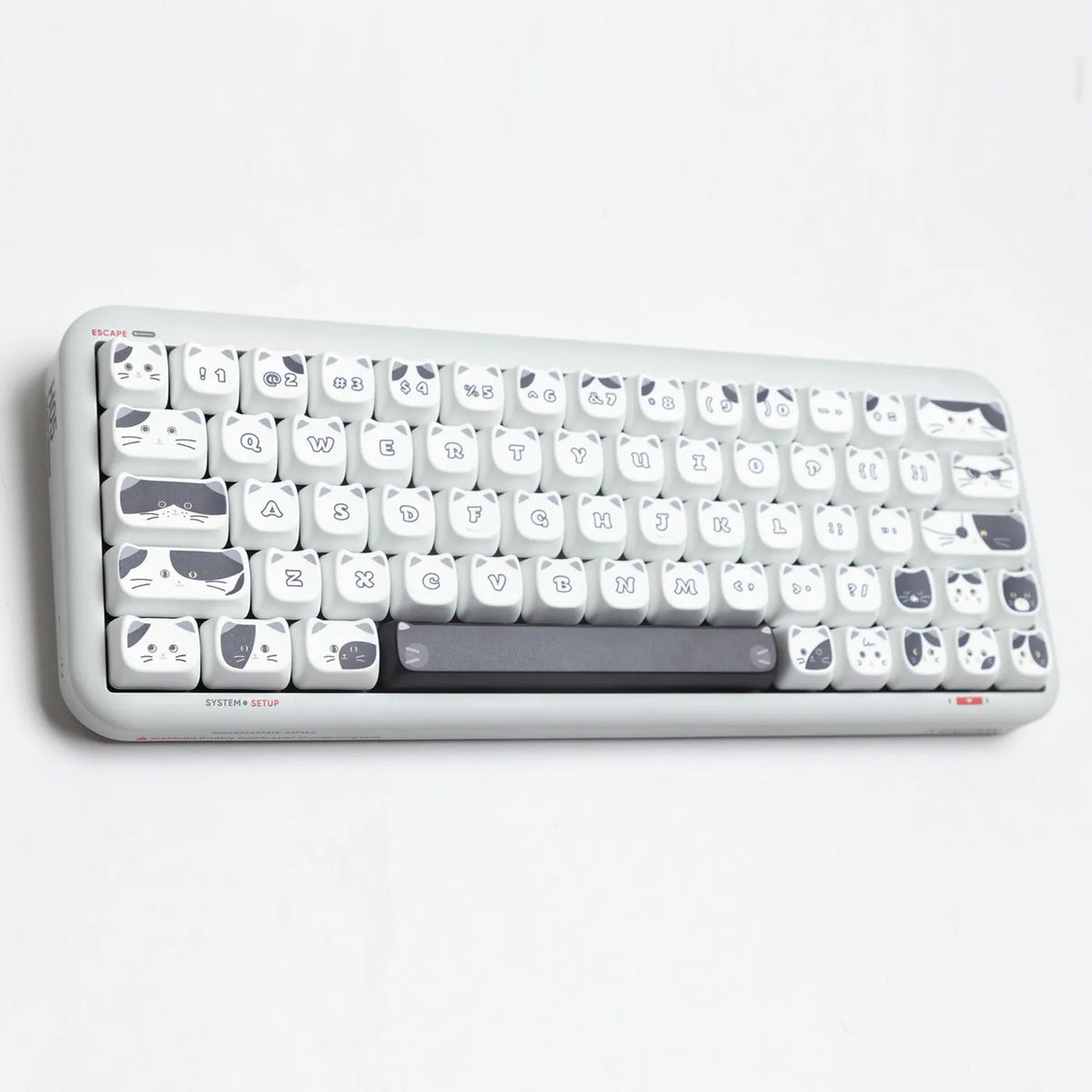 Black and white kitten sublimation PBT key cap set in boxed packaging, full layout excluding 7u and March space keys