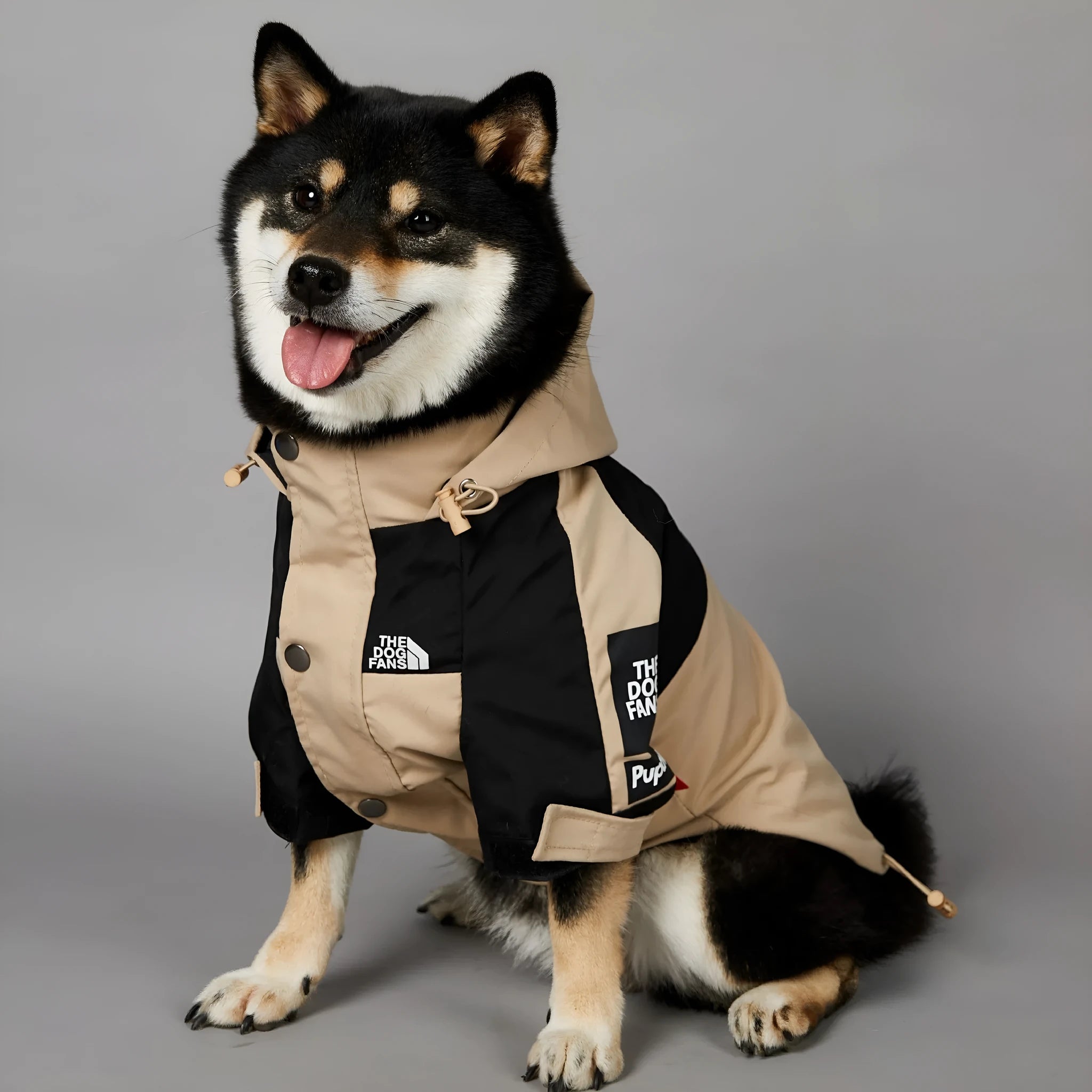 Khaki polyester dog shell jacket with zip closure shown on a dog