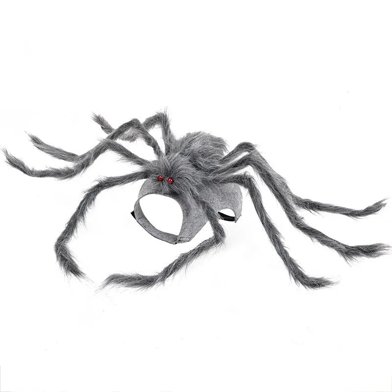 Grey and black spider Halloween costume for a dog on a carpet