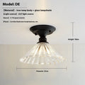 American retro single-head glass pendant ceiling lamp with 220V voltage