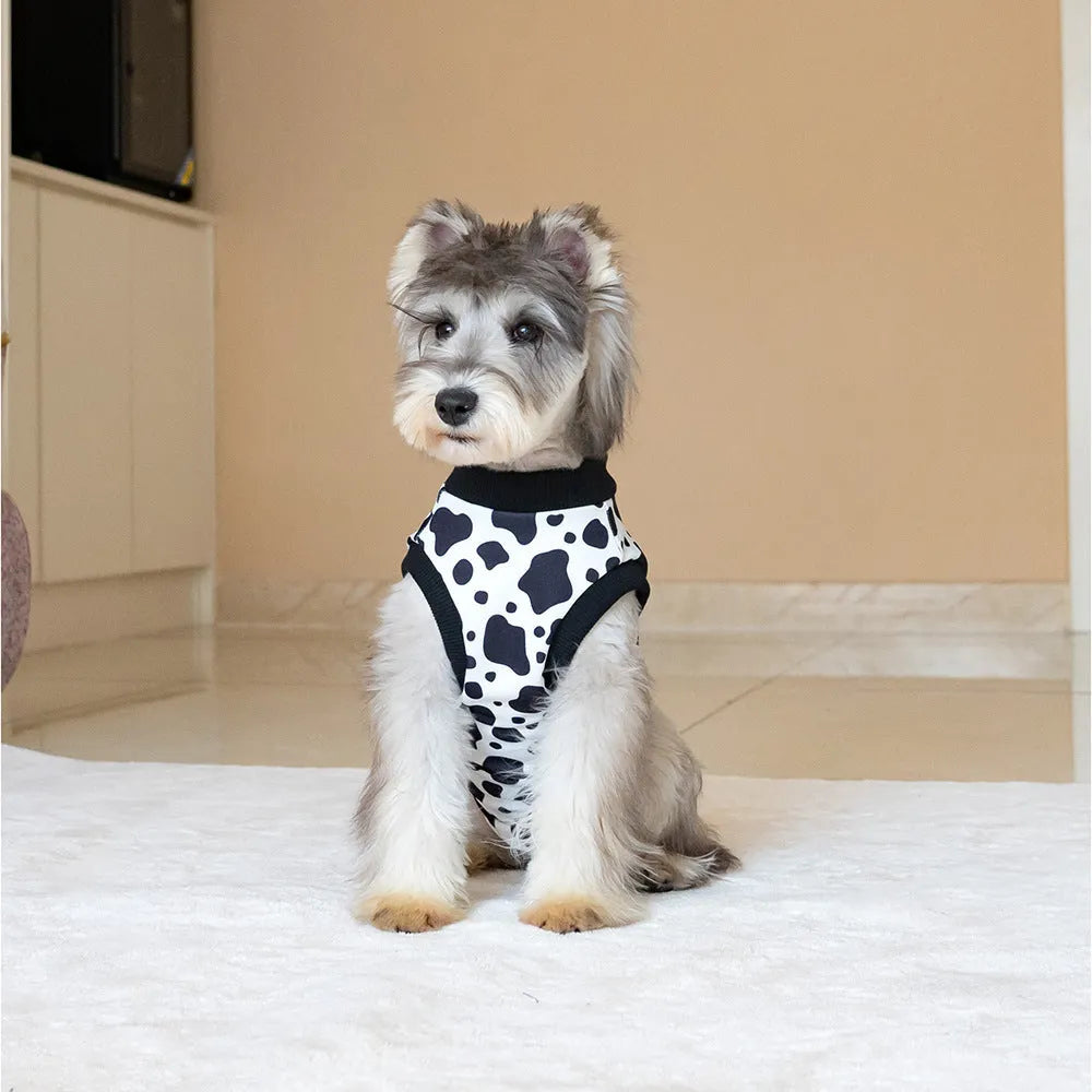 Black polyester pet recovery suit anti-licking garment for dogs and cats after surgery