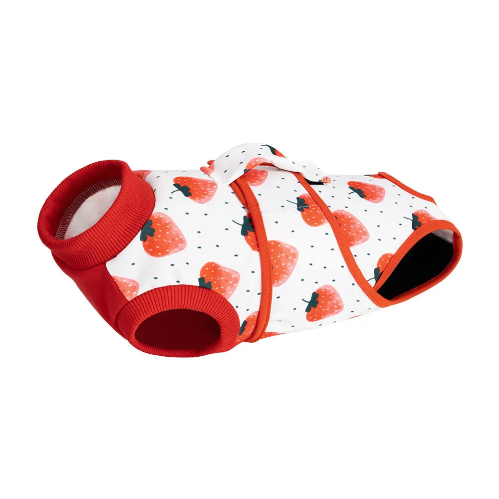 Black polyester pet recovery suit anti-licking garment for dogs and cats after surgery