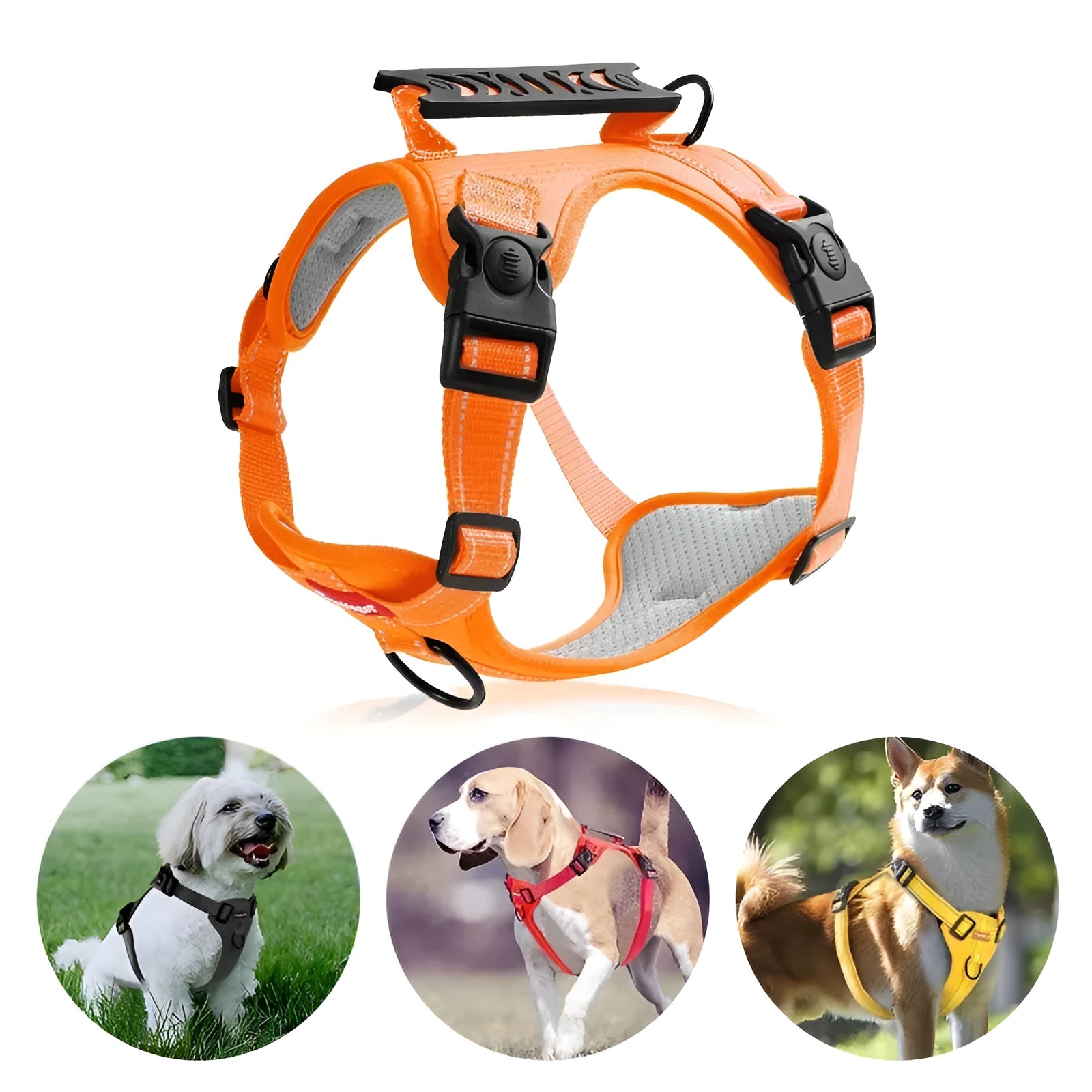 Adjustable polyester dog chest harness and lead in multiple colours on a size chart.