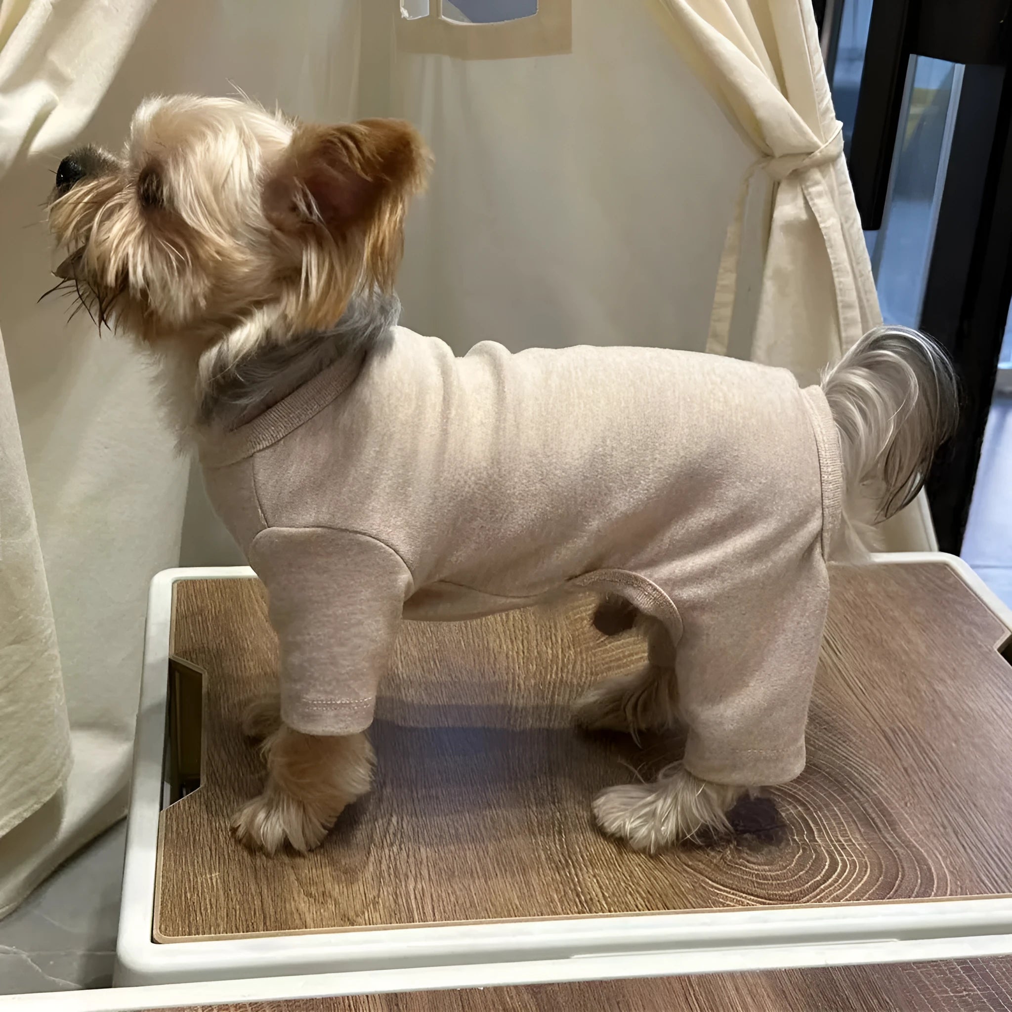 Four-legged cotton pet undershirt for small dogs in solid colour, sizes S to XXL
