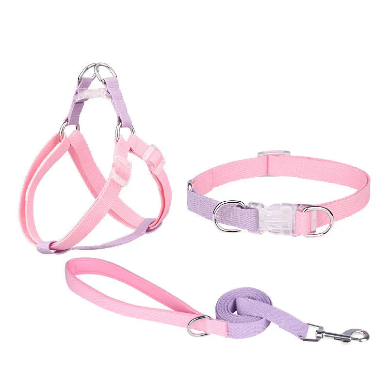 Polyester ribbon dog collar set with matching hand-holding rope and chest strap in multiple colour options