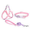 Polyester ribbon dog collar set with matching hand-holding rope and chest strap in multiple colour options