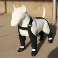Black dog shoes with adjustable ankle straps, set of four waterproof paw protectors.