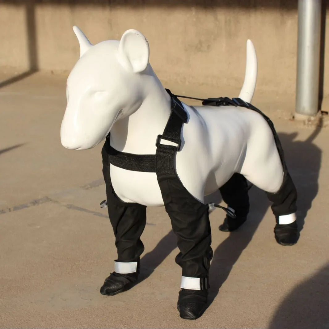 Black dog shoes with adjustable ankle straps, set of four waterproof paw protectors.