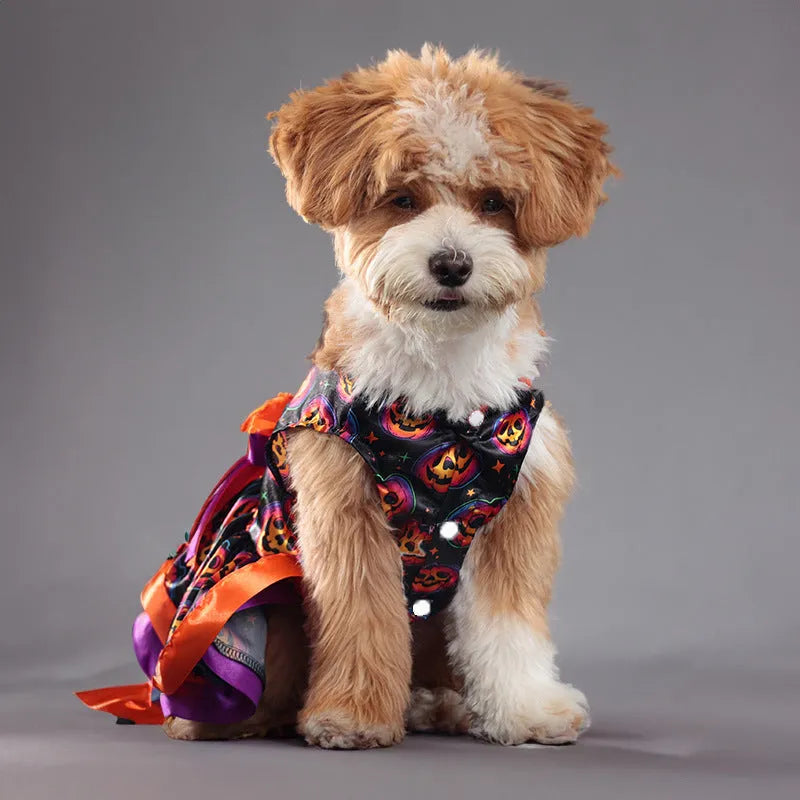 Double-layer dog Halloween skirt with colourful pumpkin or skull pattern